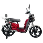 Factory direct sales of electric vehicles with a large guard bar, front and rear oil discs of the same color, CG tailframe, backrest and LED taillights